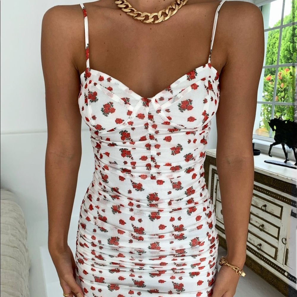 Tiger Mist Amy Dress Roses and Floral